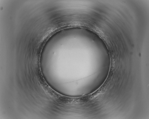 X0000088020347200705251057