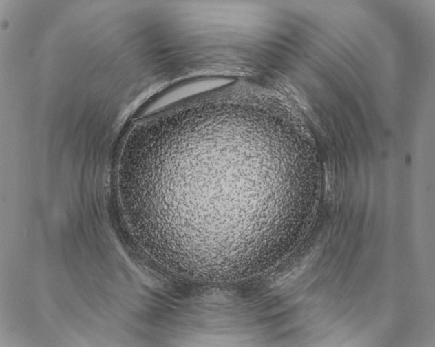 X0000088020348200705251057