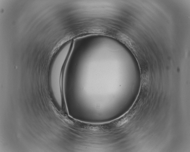 X0000088020349200705251057