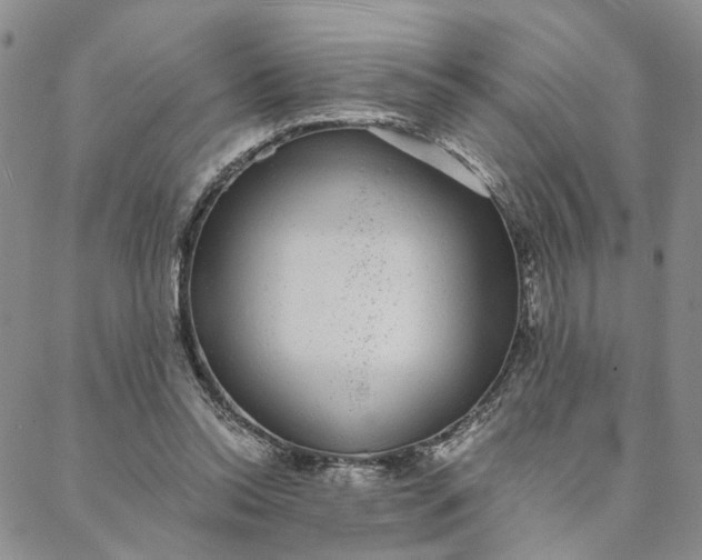 X0000088020350200705251057