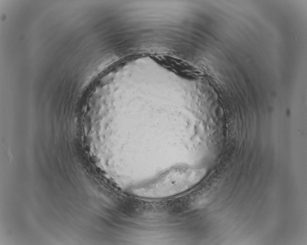 X0000088020351200705251057