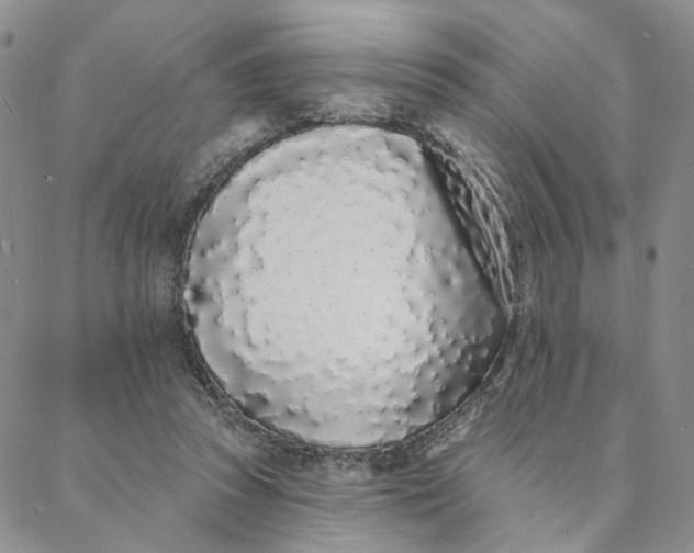 X0000088020353200705251057