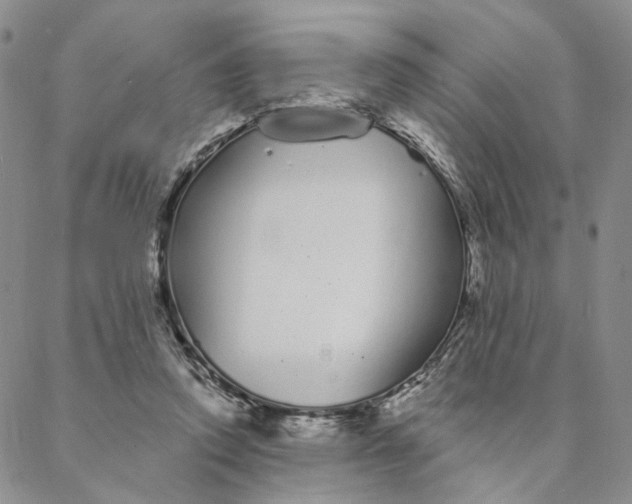 X0000088020354200705251057