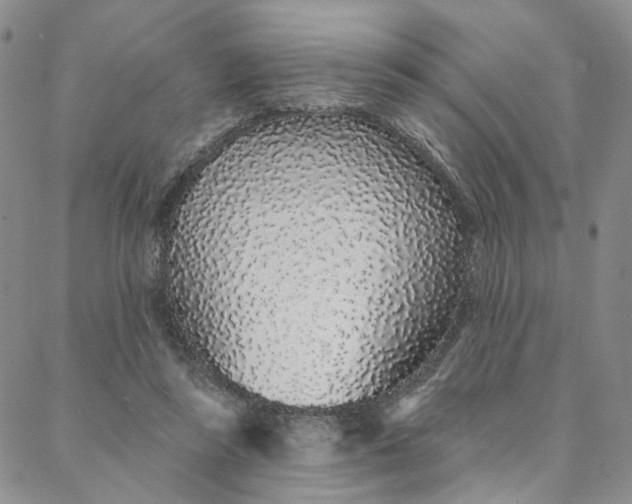 X0000088020355200705251057