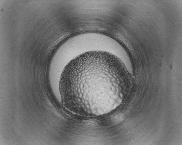 X0000088020356200705251057