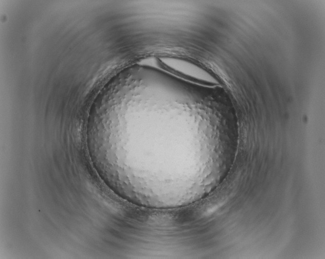 X0000088020357200705251057