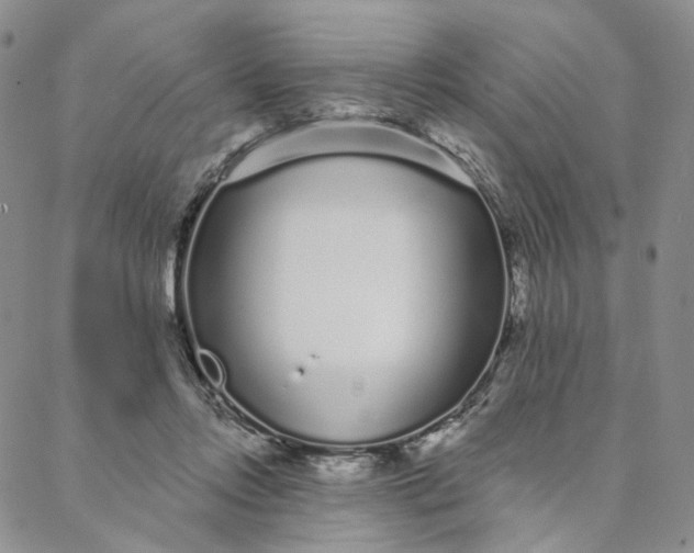 X0000088020358200705251057