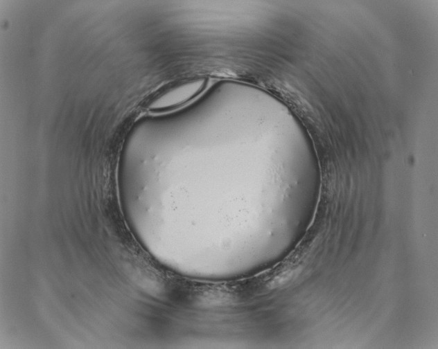 X0000088020359200705251057