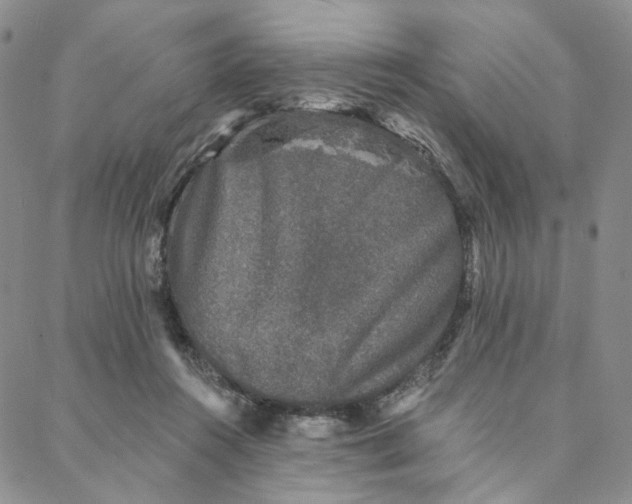 X0000088020360200705251057