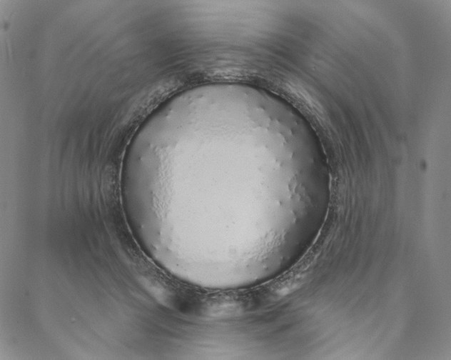 X0000088020361200705251057