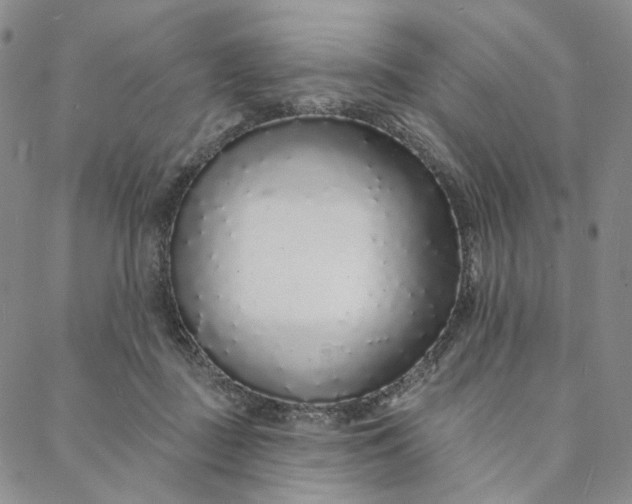 X0000088020363200705251057