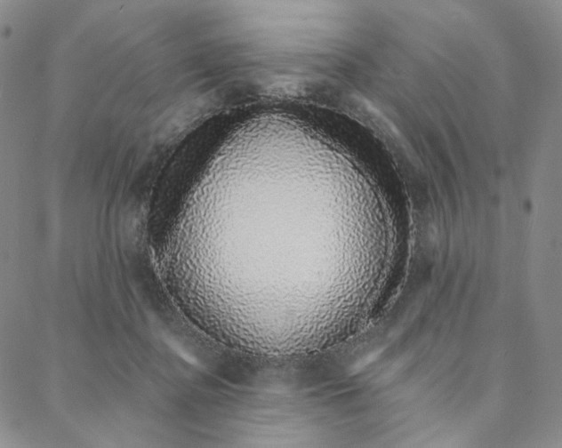 X0000088020364200705251057