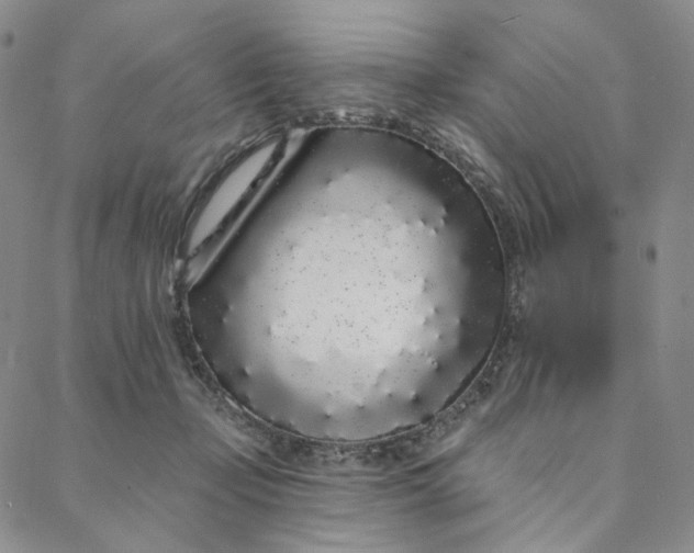 X0000088020365200705251057