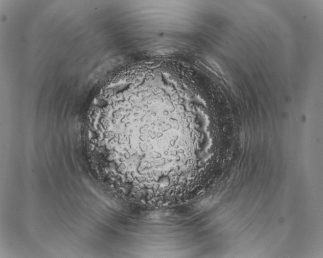 X0000088020366200705251057