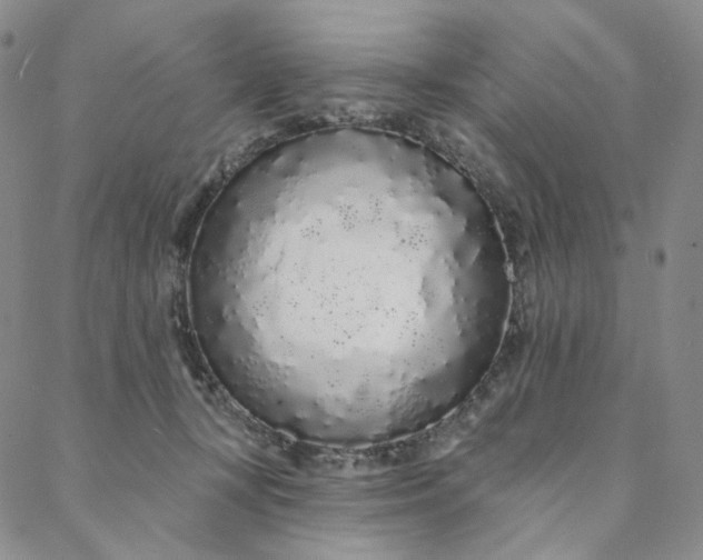 X0000088020367200705251057