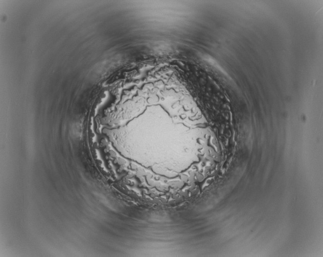 X0000088020368200705251057