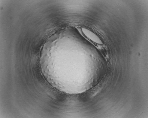 X0000088020369200705251057