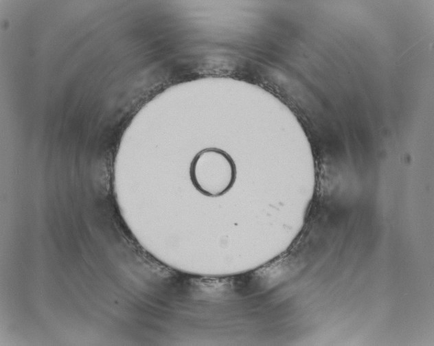 X0000088020370200705251057