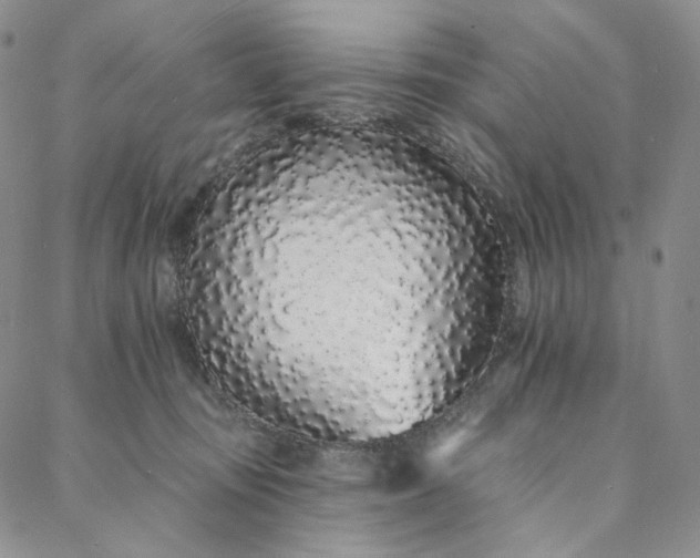 X0000088020371200705251057