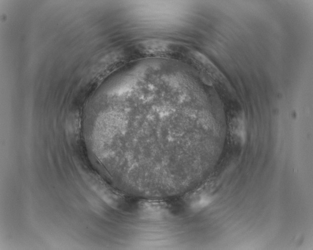 X0000088020372200705251057