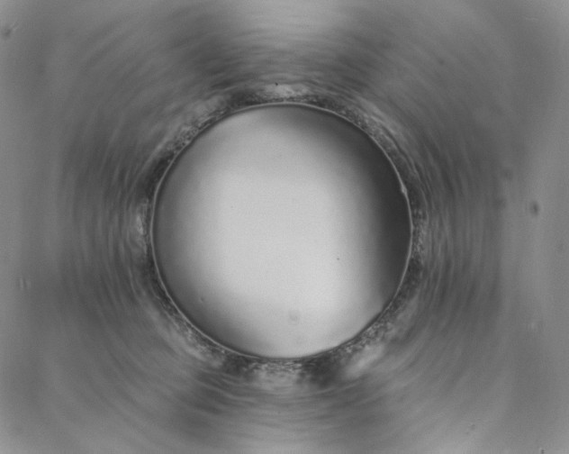 X0000088020373200705251057