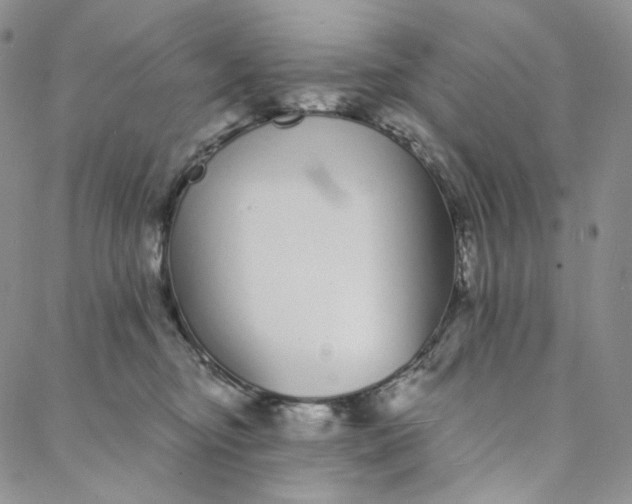 X0000088020374200705251057