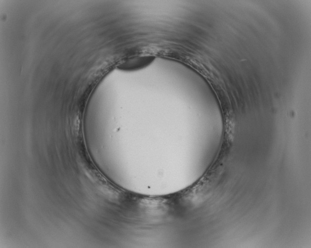 X0000088020375200705251057