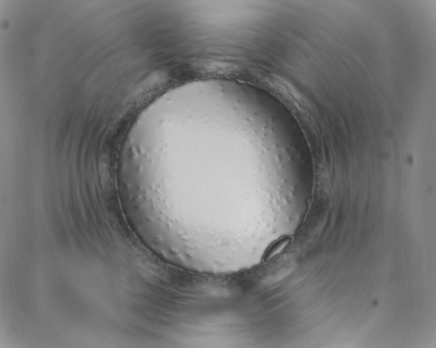 X0000088020377200705251058