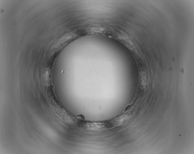 X0000088020378200705251058