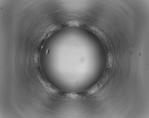 X0000088020379200705251058