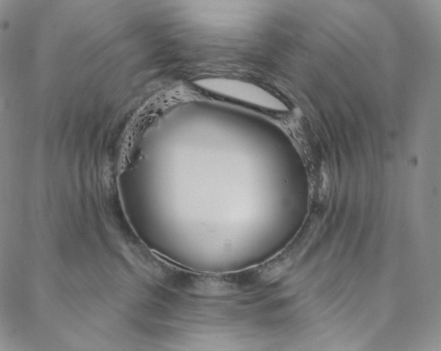 X0000088020380200705251058