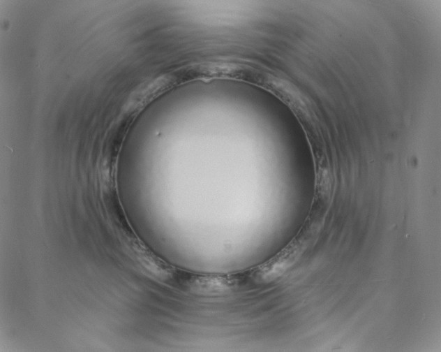 X0000088020381200705251058