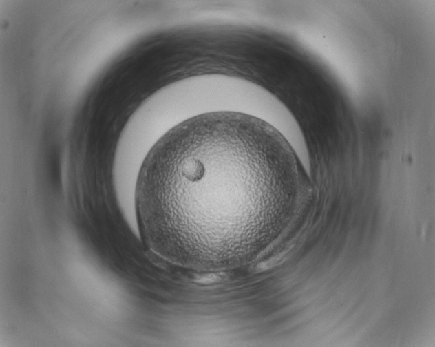 X0000088020382200705251058