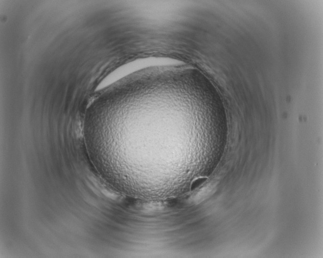 X0000088020384200705251058