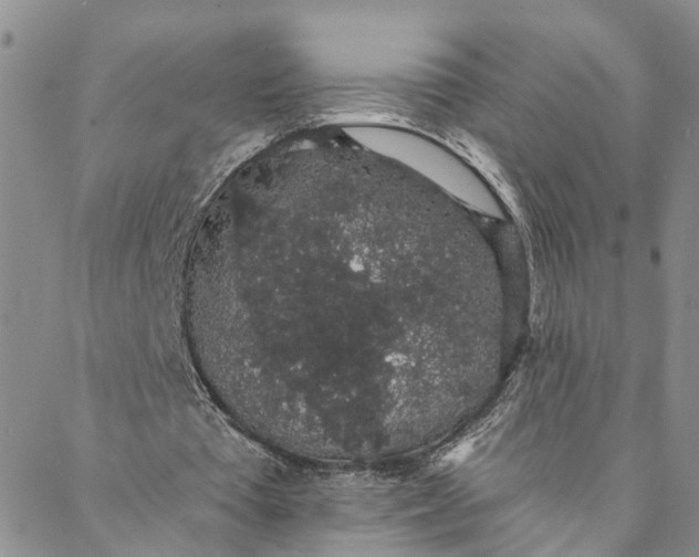 X0000088020385200705251057