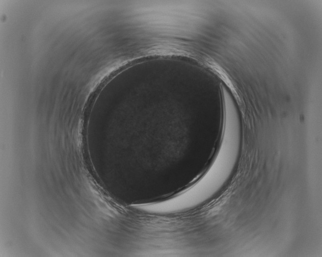 X0000088020387200705251057