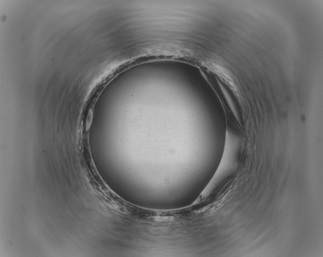 X0000088020388200705251057