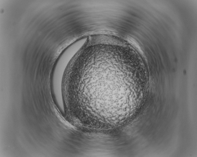 X0000088020389200705251057