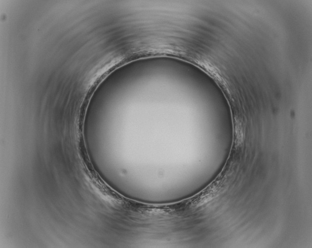 X0000088020390200705251057