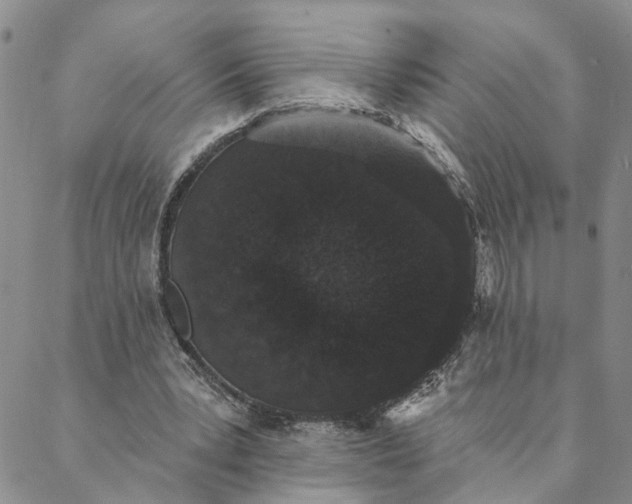 X0000088020391200705251057