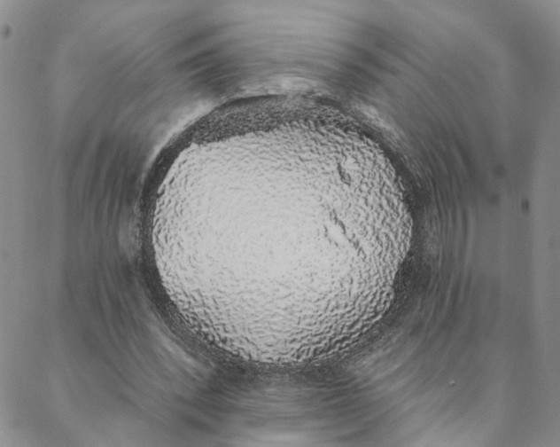 X0000088020392200705251057