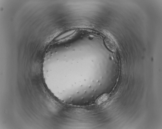 X0000088020393200705251057