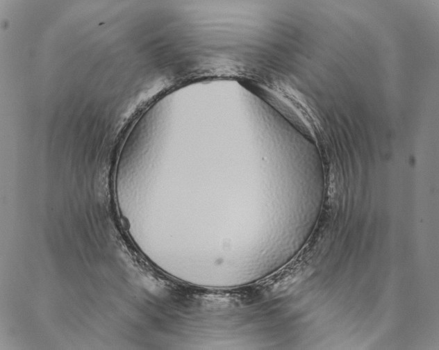 X0000088020394200705251057