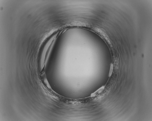 X0000088020395200705251057