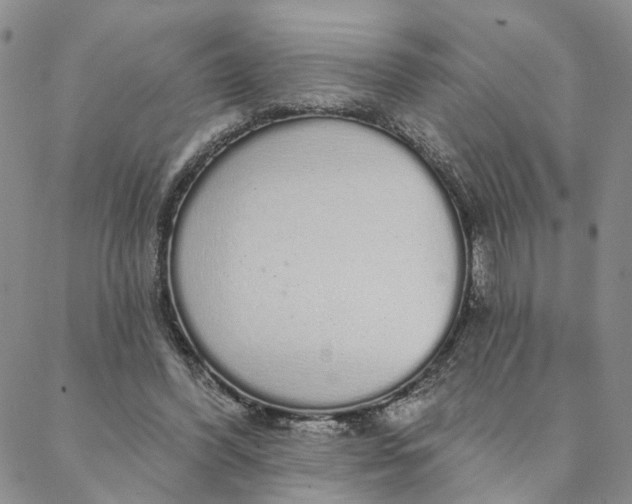 X0000088020396200705251057