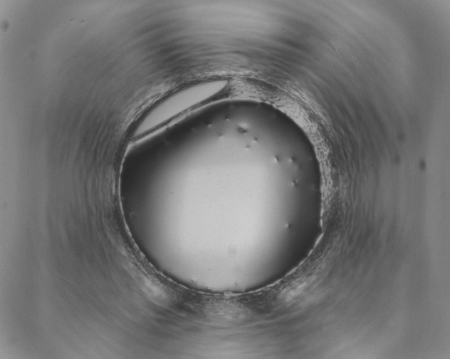 X0000088020397200705251057