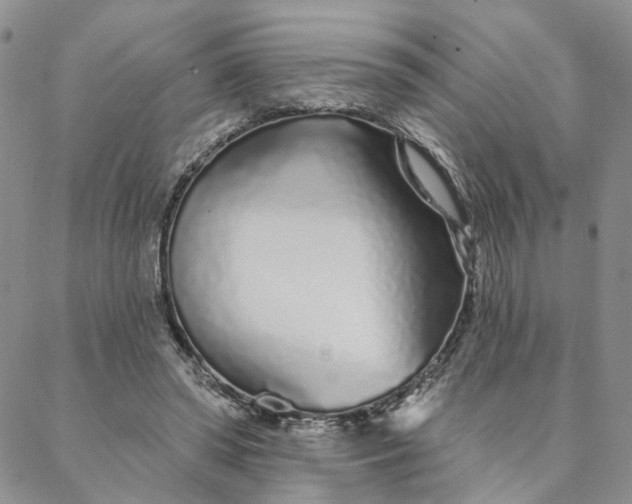 X0000088020398200705251057