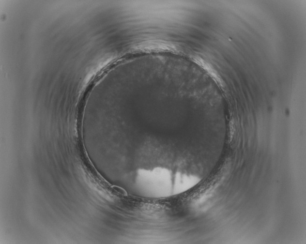 X0000088020399200705251057