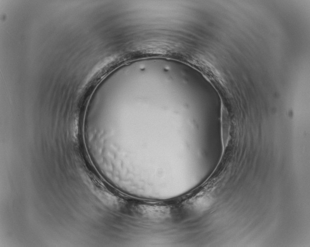 X0000088020400200705251057