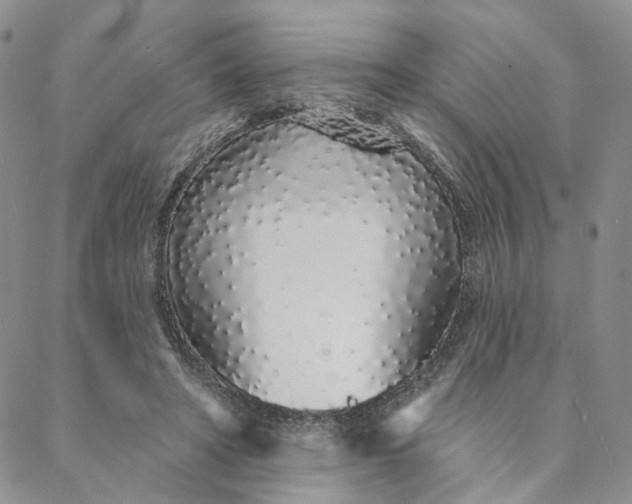 X0000088020402200705251057